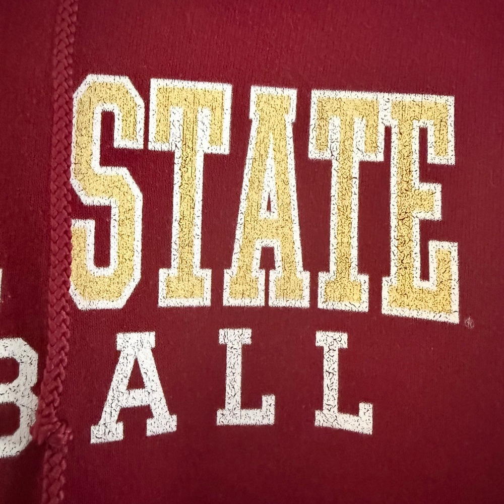 Champion Florida‎ State Seminoles Softball Hoodie Maroon Size Small - Picture 4 of 14